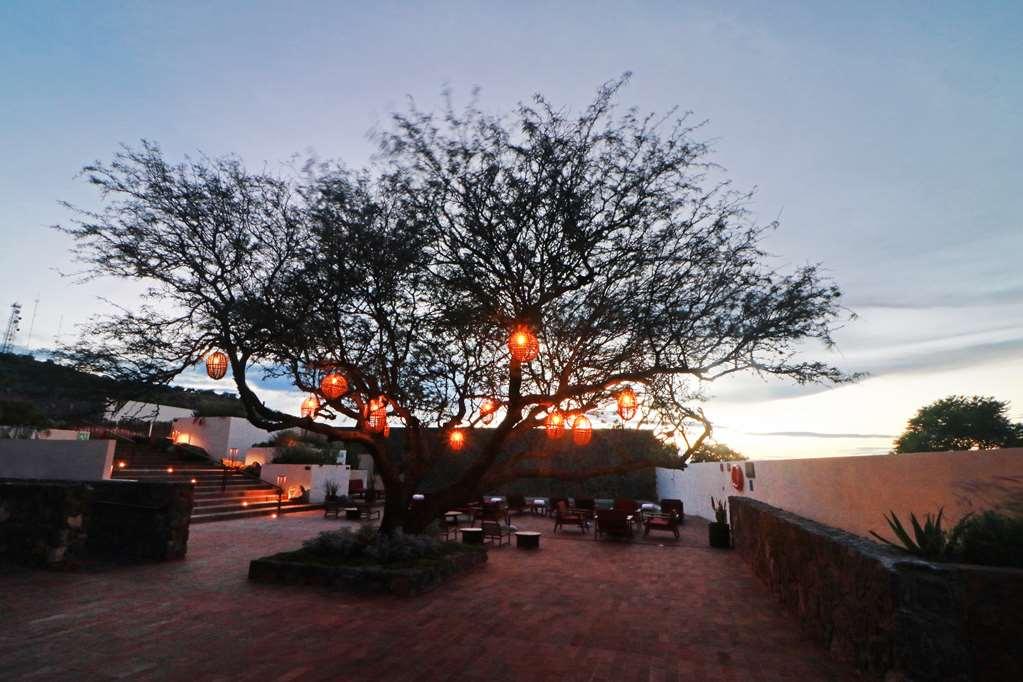 Albor San Miguel De Allende Tapestry Collection By Hilton Extérieur photo
