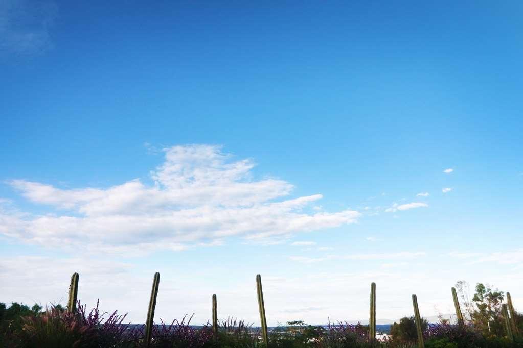 Albor San Miguel De Allende Tapestry Collection By Hilton Extérieur photo