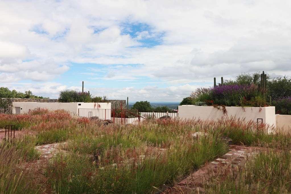 Albor San Miguel De Allende Tapestry Collection By Hilton Extérieur photo
